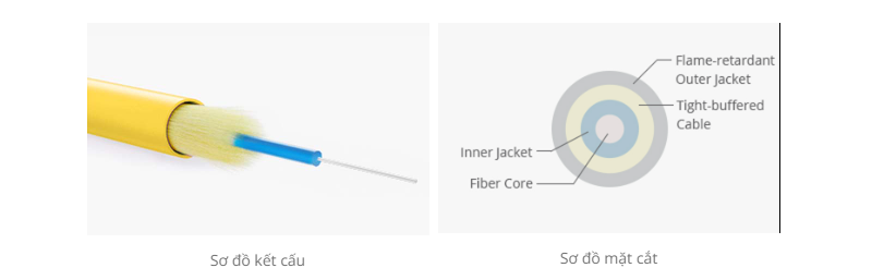 Patch cord quang đôi SC/UPC-SC/UPC Singlemode dài 2m Newlink NL-SM-UD/SCSC-2M